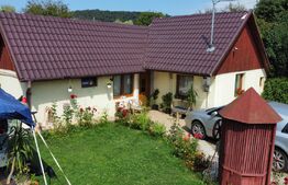 Casa pe un nivel, 53 mp utili , 120mp suprafață teren, cartier Remetea 