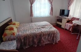 Oportunitate!!! Afacere la cheie / Complex Turistic / Reghin 