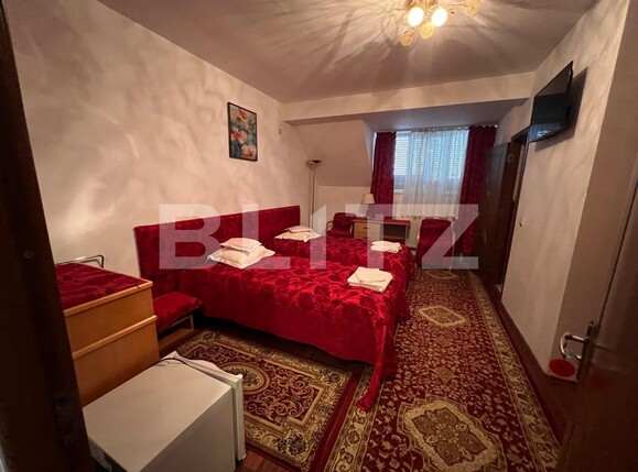 Casa de vânzare 30 camere Vest - 123609CV | BLITZ Târgu Mureș | Poza5