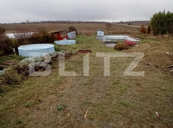 Casa de vânzare 30 camere Vest - 123609CV | BLITZ Târgu Mureș | Poza20