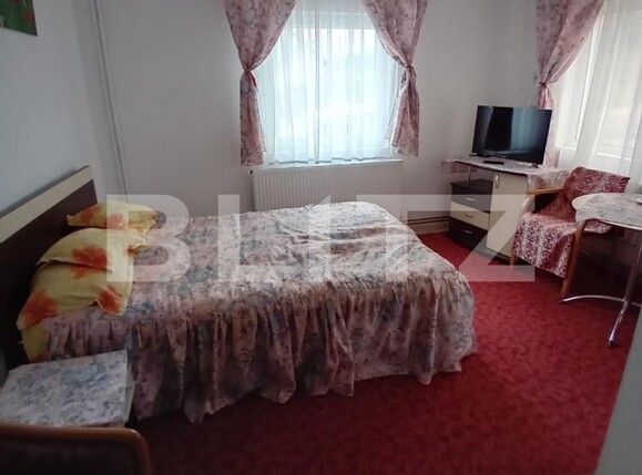 Casa de vânzare 30 camere Vest - 123609CV | BLITZ Târgu Mureș | Poza12