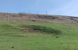 Teren extravilan, 24 hectare, zona Atintis