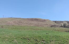 Teren extravilan, 24 hectare, zona Atintis