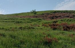 Teren extravilan, 24 hectare, zona Atintis