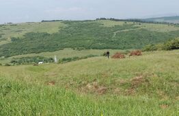 Teren extravilan, 24 hectare, zona Atintis