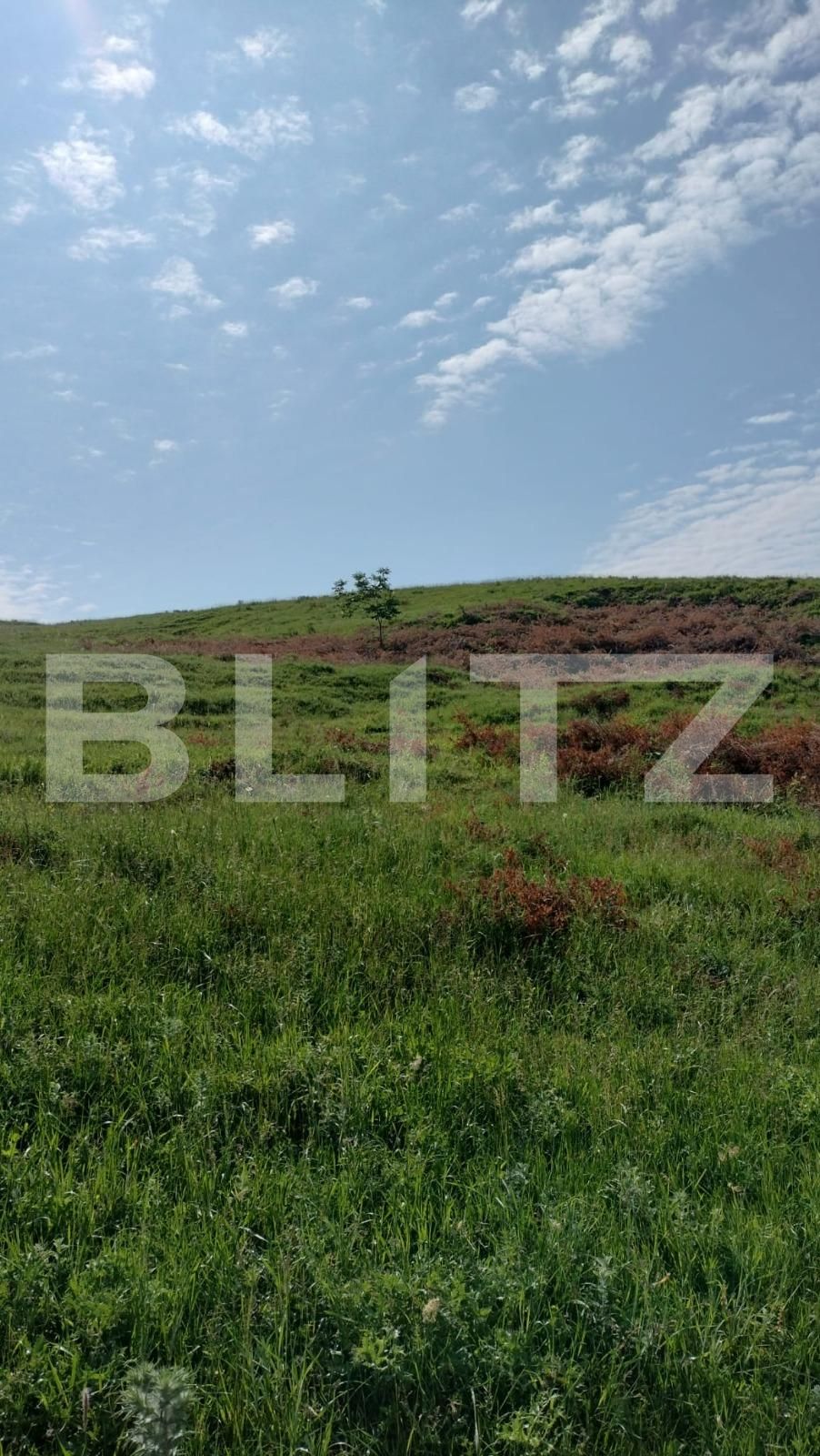 Teren de vânzare Exterior Vest - 123728TV | BLITZ Târgu Mureș | Poza6