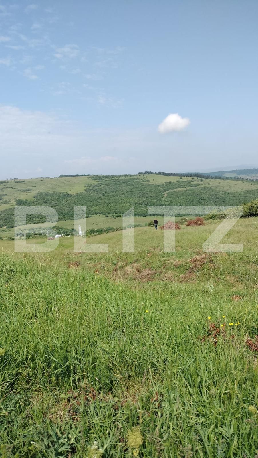 Teren de vânzare Exterior Vest - 123728TV | BLITZ Târgu Mureș | Poza3