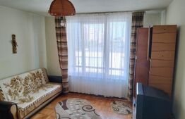 Garsoniera, 28mp, cartier Dambu Pietros