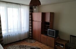 Garsoniera, 28mp, cartier Dambu Pietros