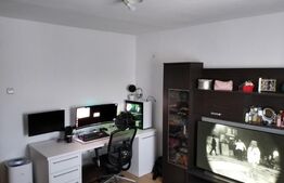 Apartament cu o camera, 30mp, cartier Tudor