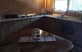 Casa tip vila 8 camere, 350mp, zona Corunca