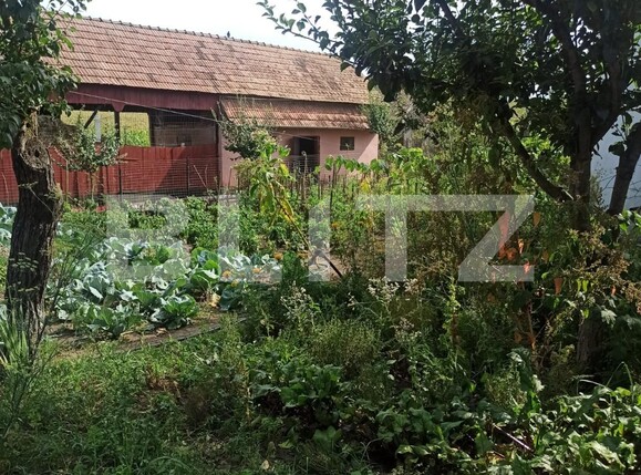 Casa de vânzare 2 camere Exterior Vest - 124119CV | BLITZ Târgu Mureș | Poza3