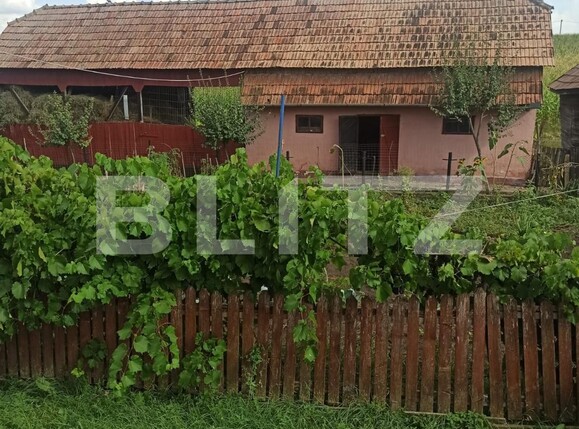 Casa de vânzare 2 camere Exterior Vest - 124119CV | BLITZ Târgu Mureș | Poza2