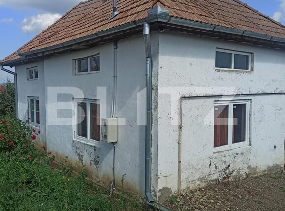 Casa de vânzare 2 camere Exterior Vest - 124119CV | BLITZ Târgu Mureș | Poza1