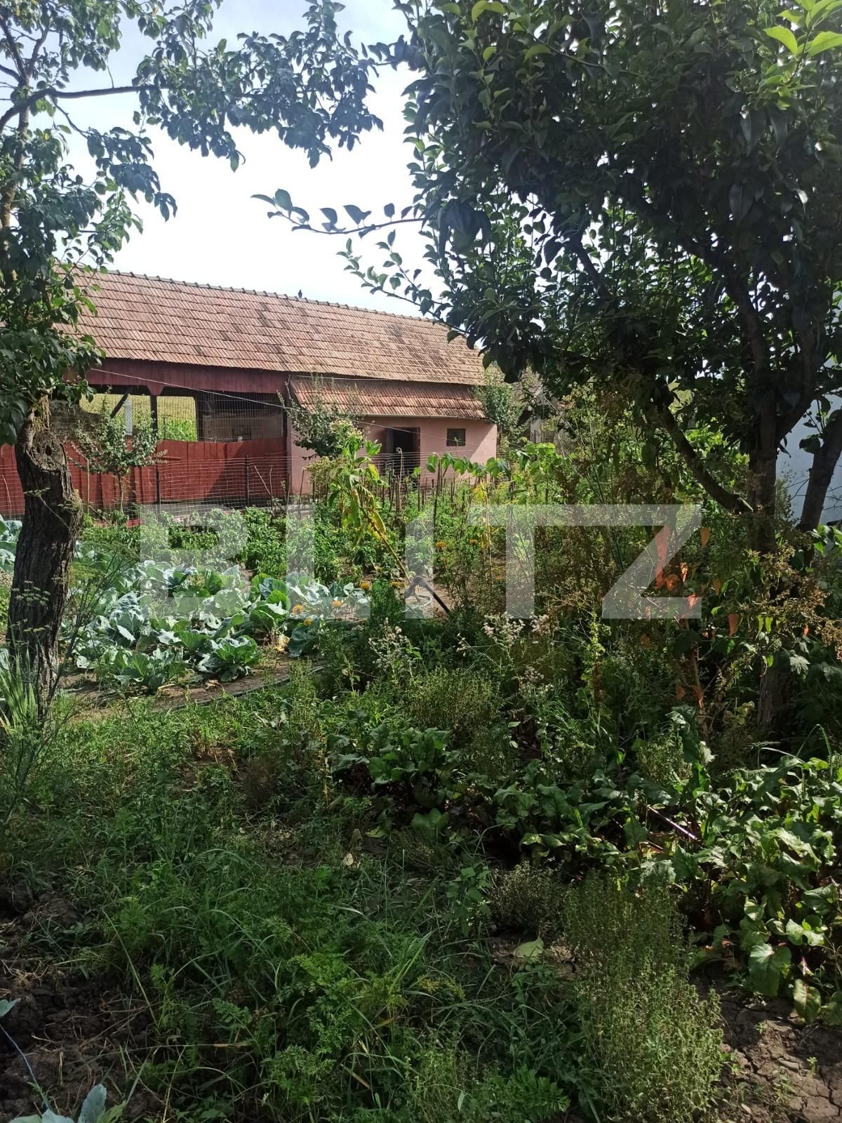 Casa de vânzare 2 camere Exterior Vest - 124119CV | BLITZ Târgu Mureș | Poza3