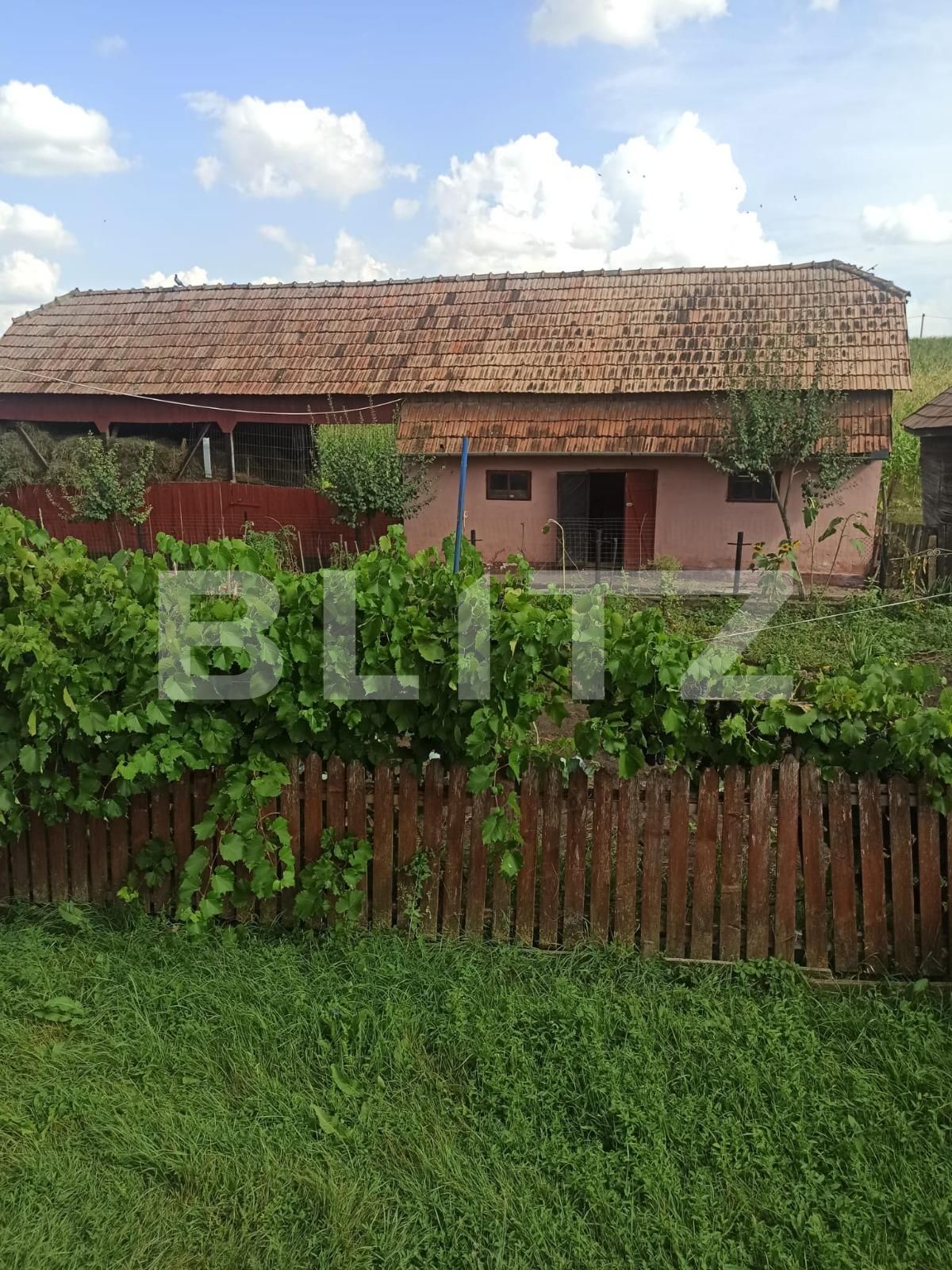 Casa de vânzare 2 camere Exterior Vest - 124119CV | BLITZ Târgu Mureș | Poza2