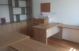 Complex cu casa de locuit, birouri, hala de producție in zona Sangeorgiu