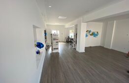 Complex cu birouri, hala de producție in zona Sangeorgiu de Mures