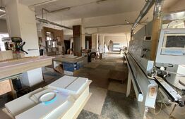 Complex cu birouri, hala de producție in zona Sangeorgiu de Mures