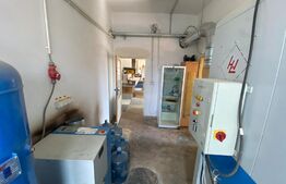 Complex cu birouri, hala de producție in zona Sangeorgiu de Mures