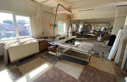 Complex cu birouri, hala de producție in zona Sangeorgiu de Mures