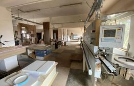 Complex cu birouri, hala de producție in zona Sangeorgiu de Mures
