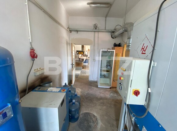 Spațiu comercial de închiriat Sângeorgiu de Mureș - 124474SIC | BLITZ Târgu Mureș | Poza10