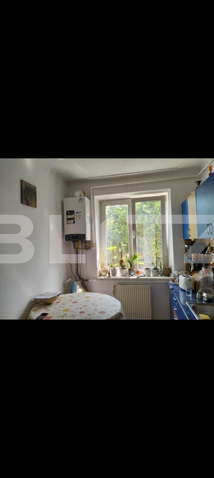 Apartament de vânzare 2 camere Balcescu - 124536AV | BLITZ Târgu Mureș | Poza5