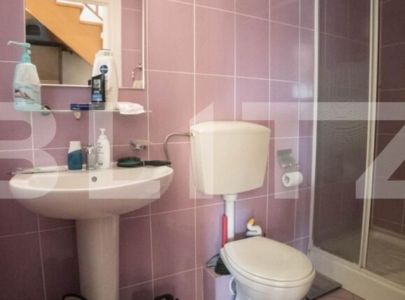 Casa de vânzare 3 camere Livezeni - 125140CV | BLITZ Târgu Mureș | Poza12