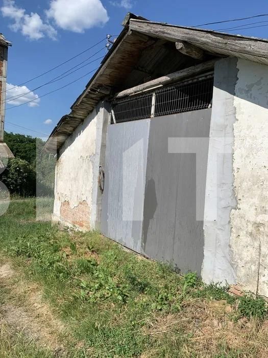 Spațiu comercial de vânzare Central - 125219SVC | BLITZ Târgu Mureș | Poza2