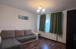 Apartament cu 1 camera, 30mp, Livezeni