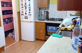 Casa cu 3 camere,84 mp utili,40 mp teren,zona Dambu