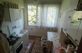 Apartament 2 camere, 48mp, Cornisa