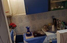 Garsoniera, 22 mp, 7 Noiembrie 