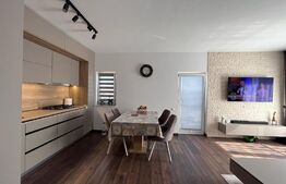 Penthouse 4 camere, 137 mp, Unirii