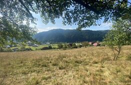 Teren extravilan, 14000 mp, in Lunca Bradului