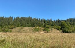 Teren extravilan, 14000 mp, in Lunca Bradului