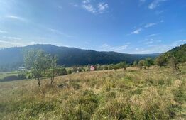 Teren extravilan, 14000 mp, in Lunca Bradului