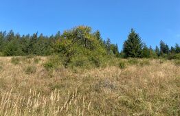 Teren extravilan, 14000 mp, in Lunca Bradului