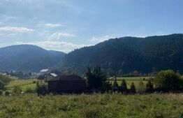 Teren extravilan, 14000 mp, in Lunca Bradului