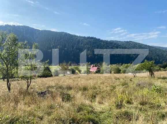 Teren de vânzare Nord-Est - 127057TV | BLITZ Târgu Mureș | Poza7