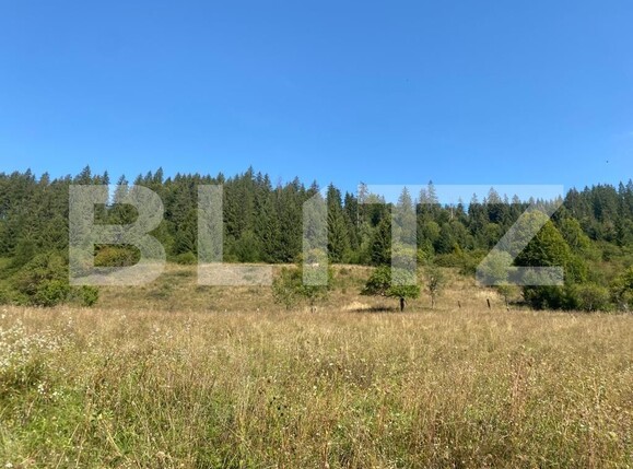 Teren de vânzare Nord-Est - 127057TV | BLITZ Târgu Mureș | Poza2