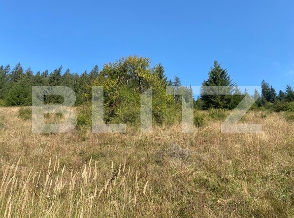 Teren de vânzare Nord-Est - 127057TV | BLITZ Târgu Mureș | Poza9