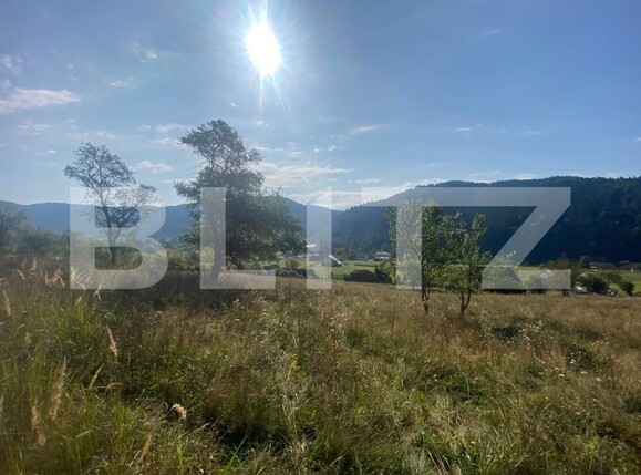 Teren de vânzare Nord-Est - 127057TV | BLITZ Târgu Mureș | Poza3