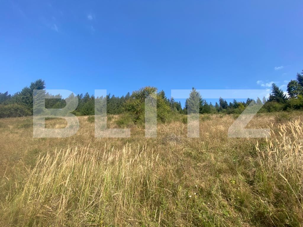 Teren de vânzare Nord-Est - 127057TV | BLITZ Târgu Mureș | Poza6