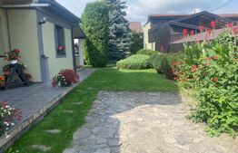 Casa cu 5 camere,390 mp utili,555 mp teren,in Santana de Mures