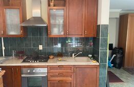 Casa cu 5 camere,390 mp utili,555 mp teren,in Santana de Mures