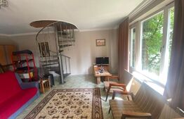 Casa cu 5 camere,390 mp utili,555 mp teren,in Santana de Mures