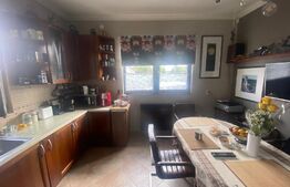 Casa cu 5 camere,390 mp utili,555 mp teren,in Santana de Mures