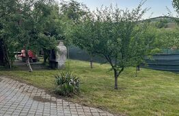 Casa cu 5 camere,300 mp utili,2000 mp teren, in Cerghid